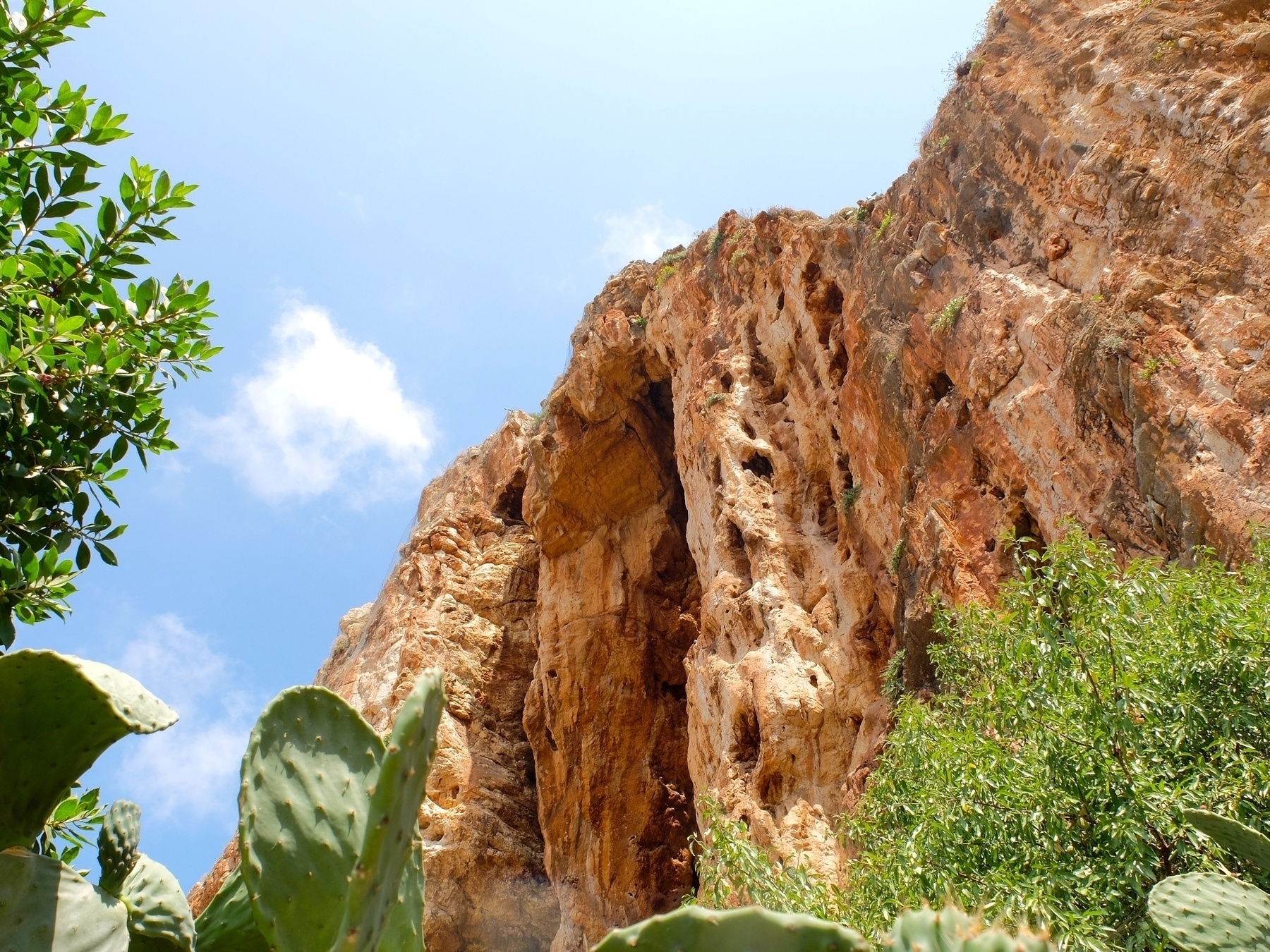 Un ciel bleu encadre une falaise rocheuse avec des plantes vertes au premier plan.