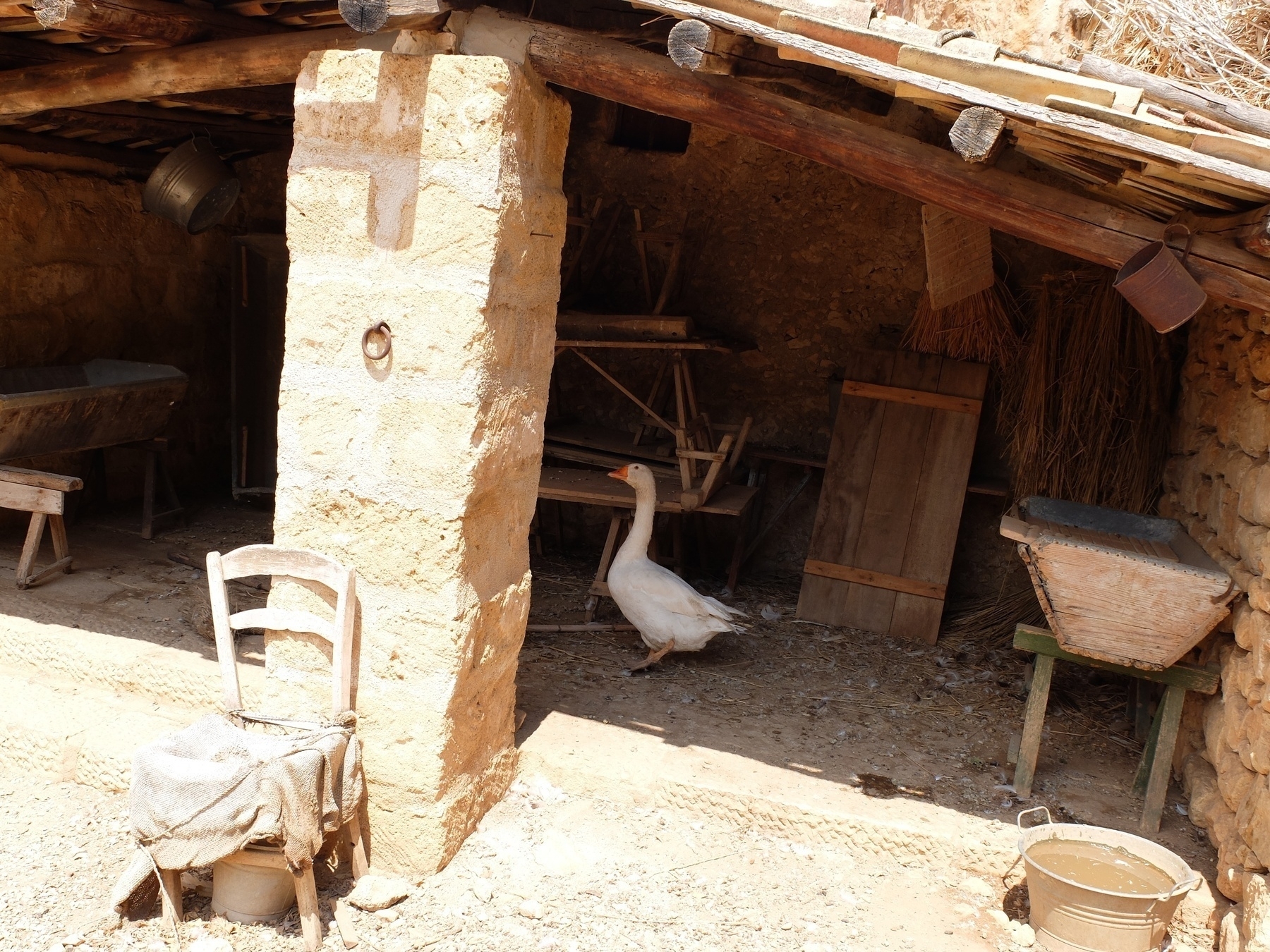 Une oie se tient dans un abri rustique entouré d'objets en bois et d'une chaise.