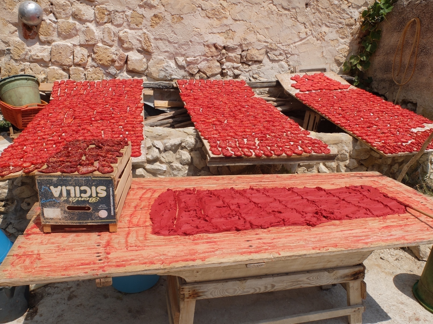 Des tomates séchées au soleil sont disposées sur des tables en bois dans un environnement extérieur rustique.