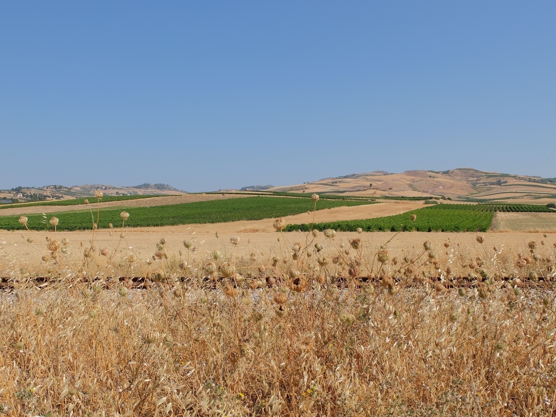 Un paysage rural avec des champs cultivés sous un ciel bleu dégagé.