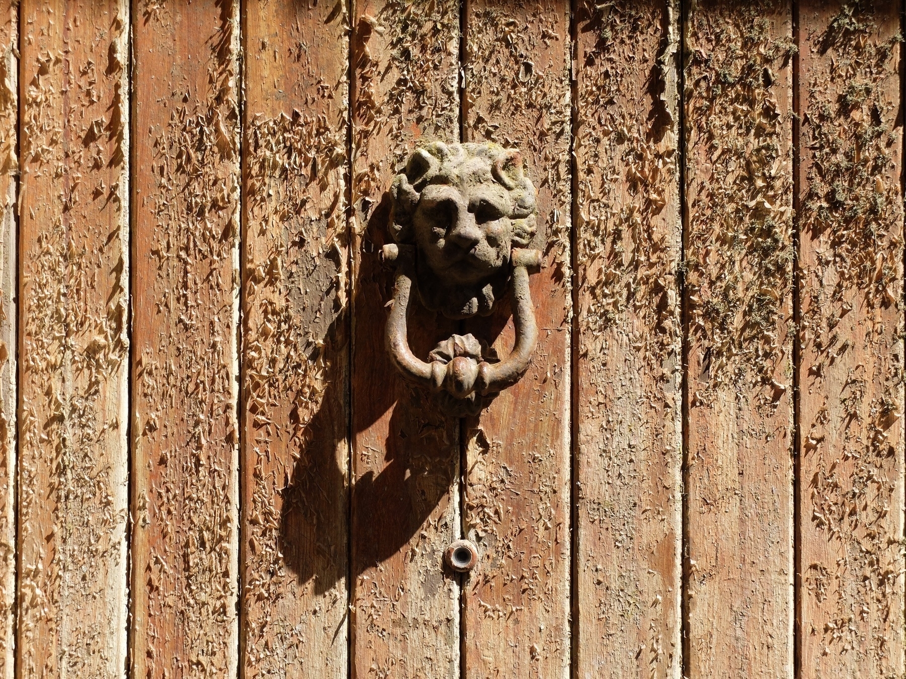 Une porte en bois usée est ornée d'un heurtoir en forme de tête de lion.