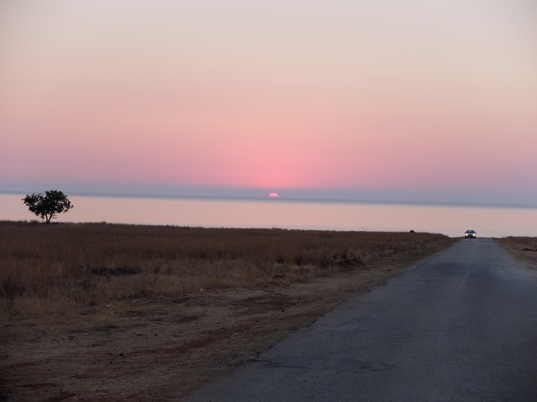 Un coucher de soleil rose et mauve illumine un paysage avec une route, un arbre solitaire et un horizon dégagé.